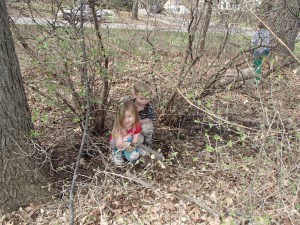 bushes become a hidout